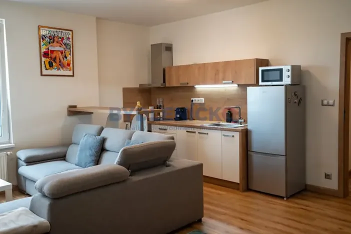 Prodej bytu 1+kk, České Budějovice, České Vrbné, 45 m2
