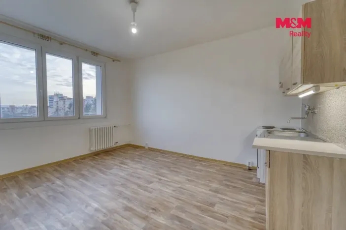 Pronájem bytu 1+kk, Plzeň - Doudlevce, Šimerova, 20 m2