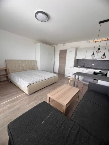 Pronájem bytu 1+kk, Praha - Horní Měcholupy, Hornoměcholupská, 40 m2