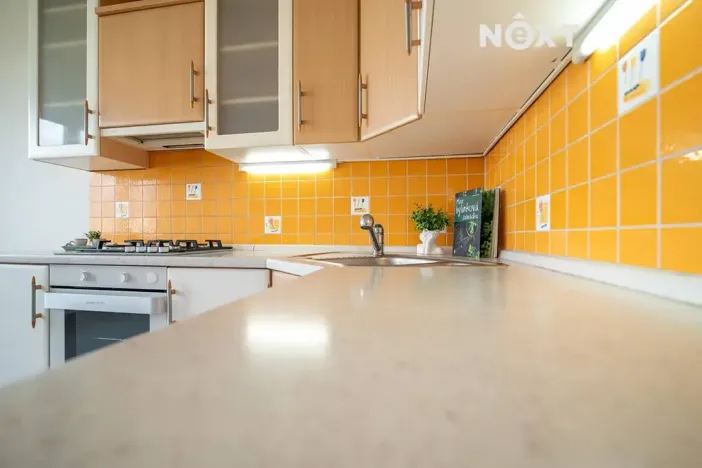 Prodej bytu 2+kk, České Budějovice, J. Opletala, 35 m2