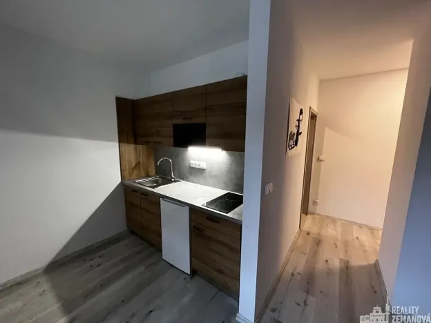 Pronájem bytu 1+kk, Praha - Malá Chuchle, Paroplavební, 22 m2