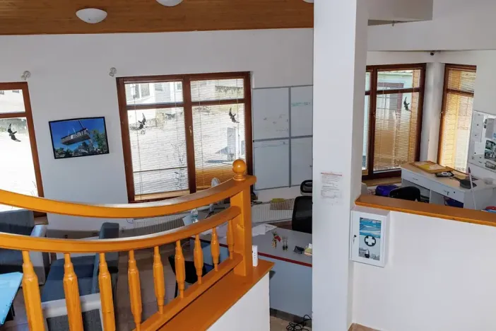 Prodej obchodního prostoru, Sadová, 262 m2
