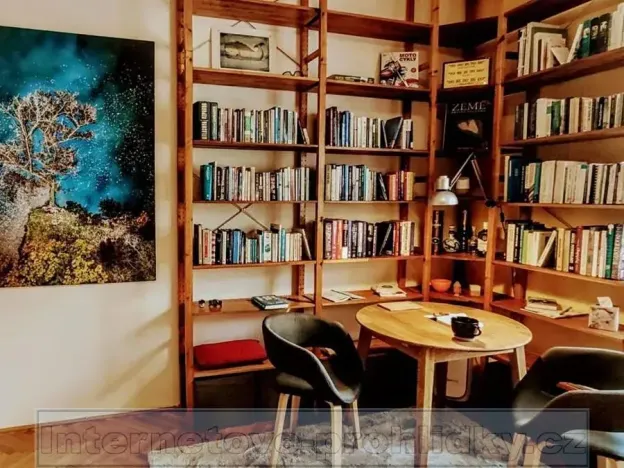 Pronájem bytu 1+1, Praha - Staré Město, 35 m2