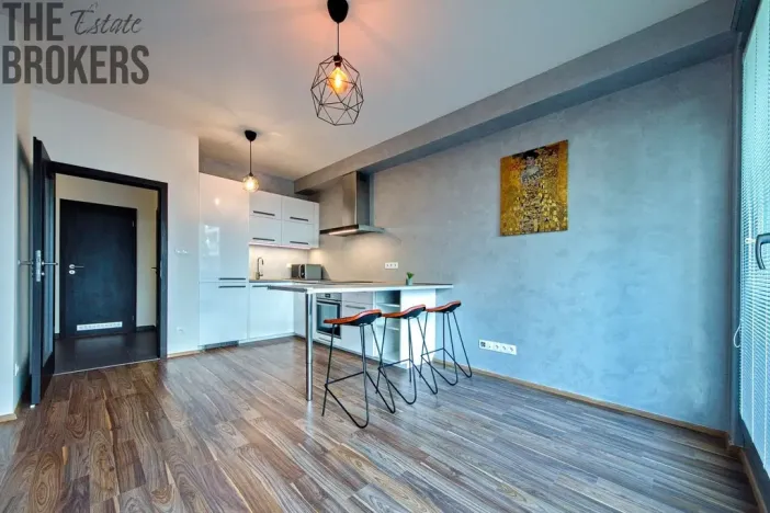 Pronájem bytu 1+kk, Praha - Karlín, U Mlýnského kanálu, 37 m2