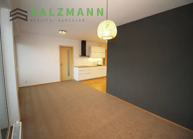 Pronájem bytu 3+kk, Plzeň, Lidická, 78 m2