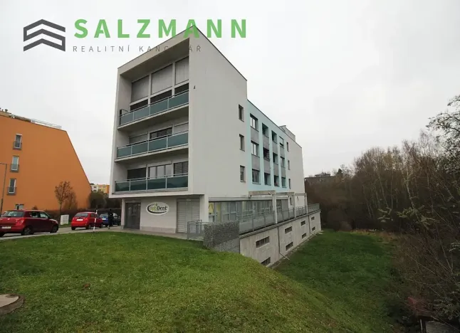 Pronájem bytu 3+kk, Plzeň, Lidická, 78 m2