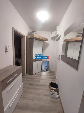 Pronájem bytu 1+kk, Olomouc, Aloise Rašína, 37 m2