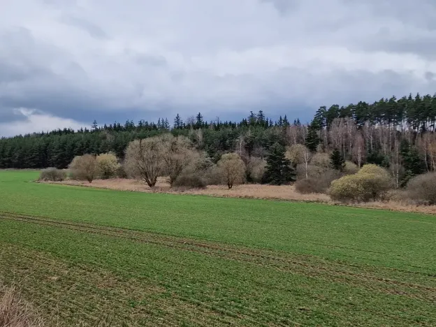 Prodej podílu pozemku pro bydlení, Bělčice, 34980 m2