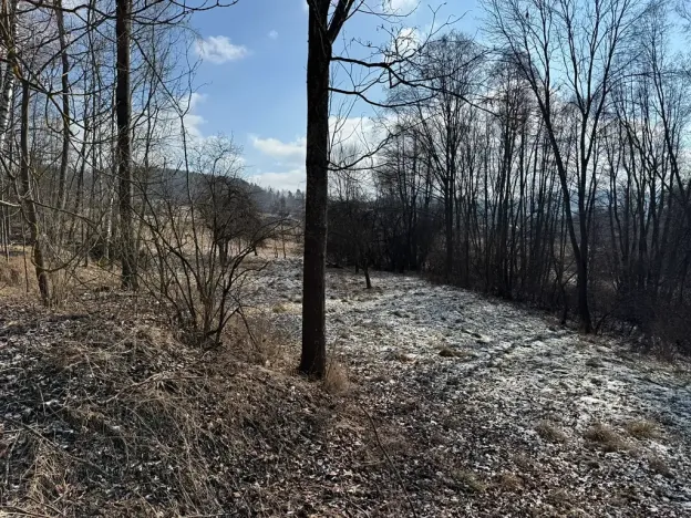 Prodej chalupy, Zdíkov, 120 m2