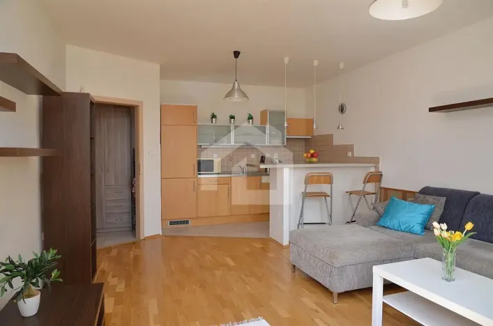 Pronájem bytu 1+kk, České Budějovice - České Budějovice 6, Jeronýmova, 38 m2