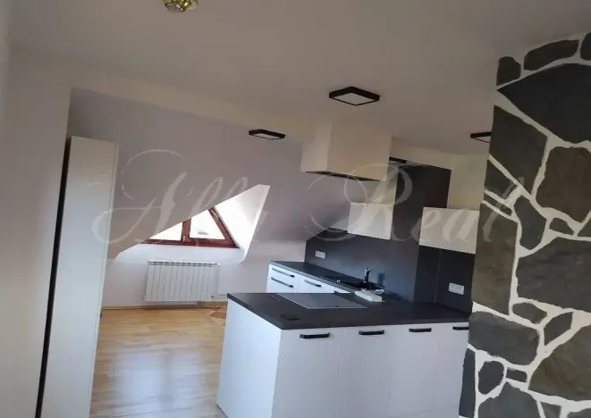 Pronájem bytu 3+kk, Hlína, 100 m2