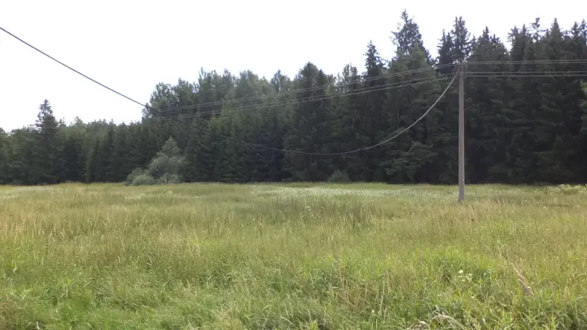 Prodej pole, Chodský Újezd - Nahý Újezdec, 13137 m2