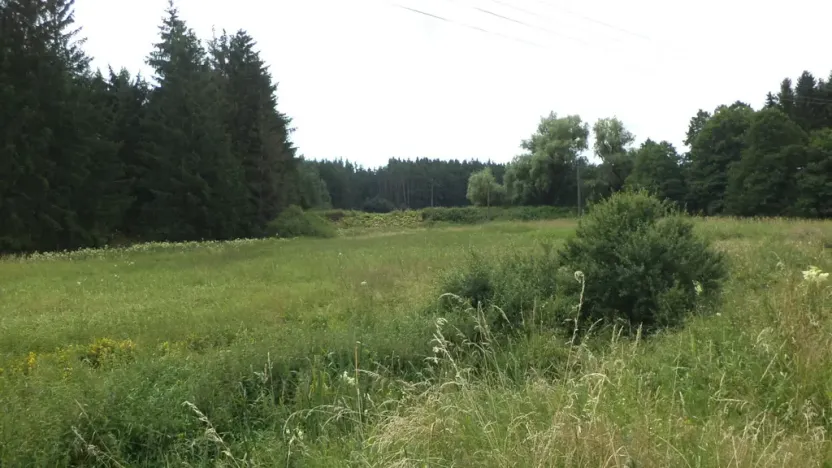 Prodej pole, Chodský Újezd - Nahý Újezdec, 13137 m2