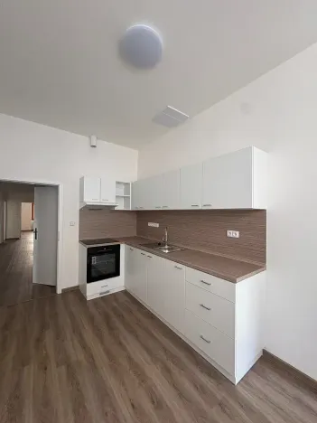 Pronájem bytu 4+1, Brno, Dvořákova, 155 m2
