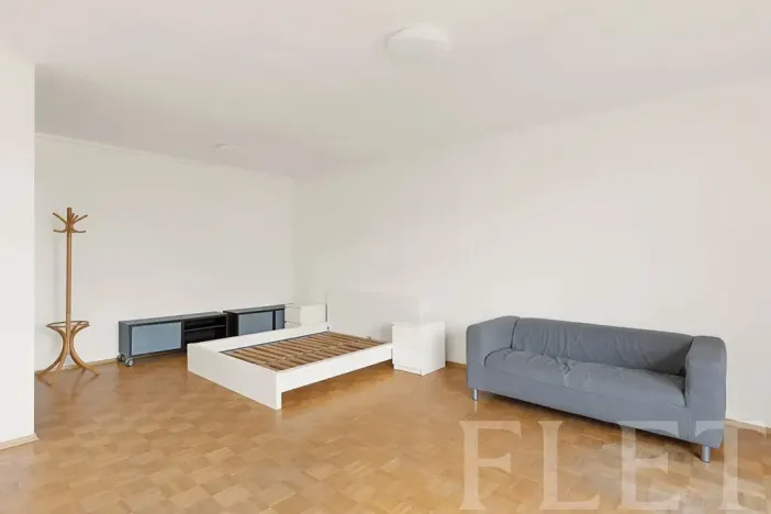 Pronájem bytu 1+kk, Praha - Žižkov, Dalimilova, 50 m2