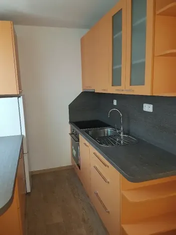 Pronájem bytu 1+1, Liberec, Borový vrch, 39 m2