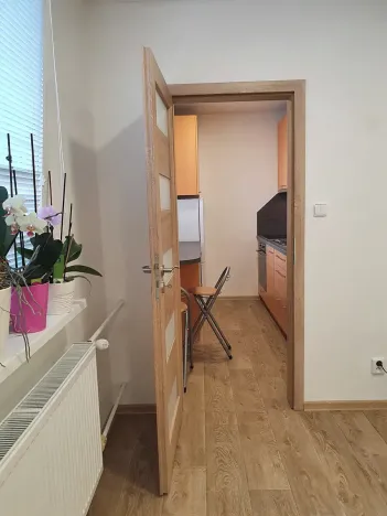 Pronájem bytu 1+1, Liberec, Borový vrch, 39 m2