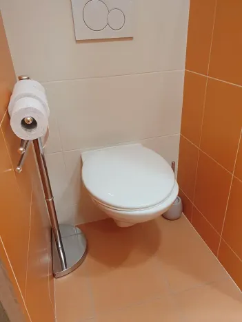 Pronájem bytu 1+1, Liberec, Borový vrch, 39 m2