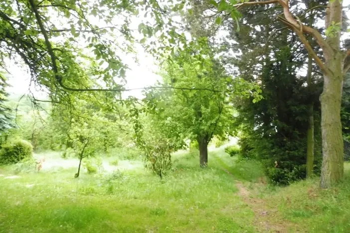 Dražba zahrady, Horní Cerekev, 365 m2
