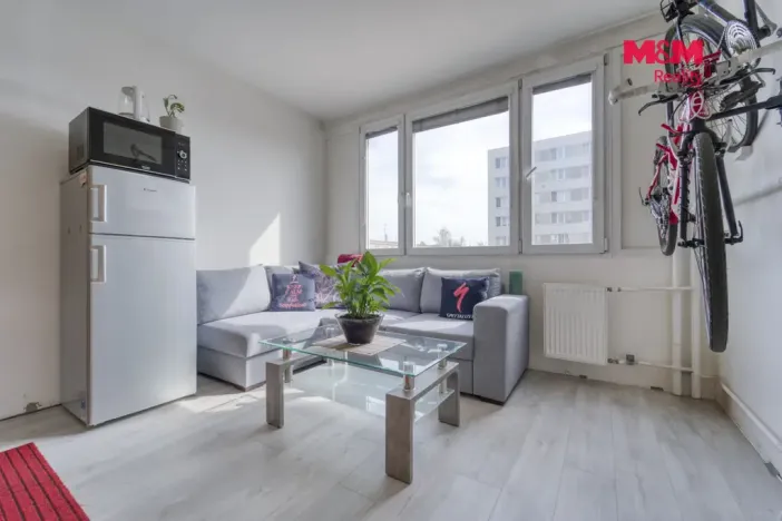 Prodej bytu 1+1, Plzeň - Jižní Předměstí, Čermákova, 36 m2