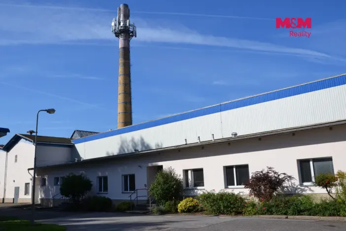 Prodej výrobních prostor, Miletín, Lhotova, 22000 m2