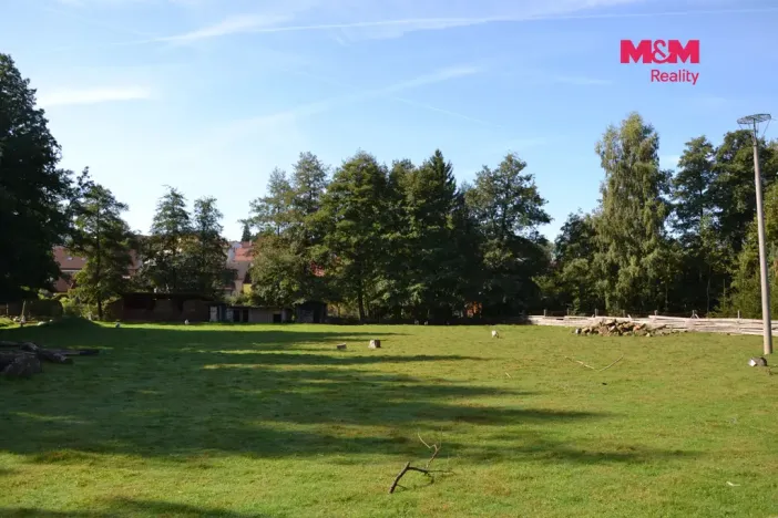 Prodej výrobních prostor, Miletín, Lhotova, 22000 m2
