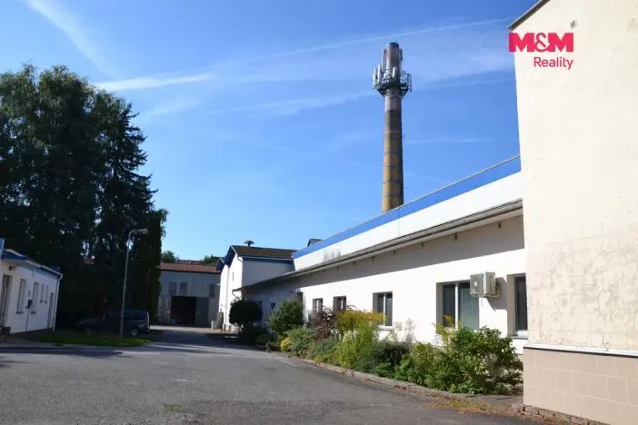 Prodej výrobních prostor, Miletín, Lhotova, 22000 m2