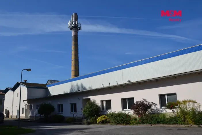 Prodej výrobních prostor, Miletín, Lhotova, 22000 m2