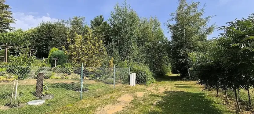 Prodej zahrady, Aš, 2218 m2