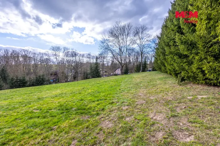 Prodej pozemku pro bydlení, Velká Bukovina, 4466 m2