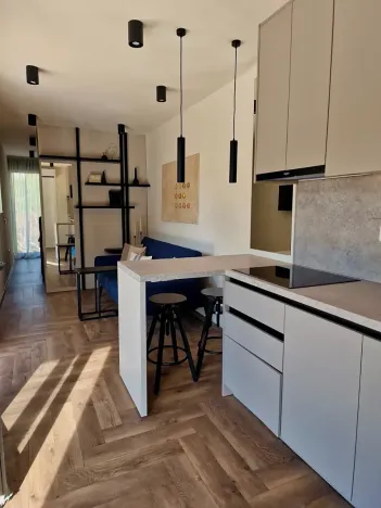 Prodej vily, Pavićini, Chorvatsko, 38 m2