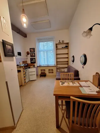 Pronájem bytu 1+kk, Praha - Žižkov, Ondříčkova, 18 m2