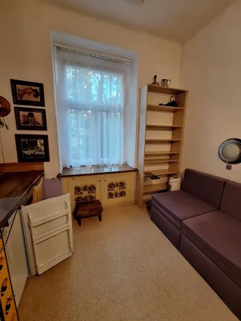 Pronájem bytu 1+kk, Praha - Žižkov, Ondříčkova, 18 m2