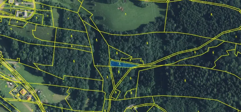 Prodej lesa, Strážná, 615 m2