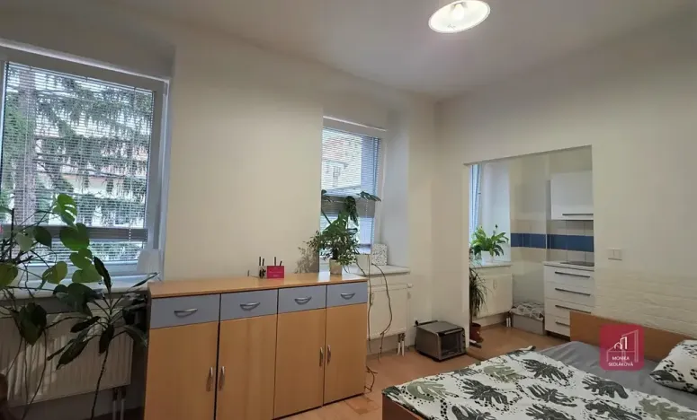 Prodej bytu 1+1, Brno, Cejl, 33 m2