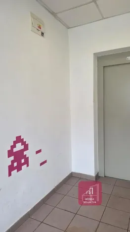 Prodej bytu 1+1, Brno, Cejl, 33 m2