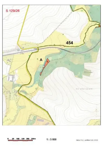Prodej lesa, Dolní Hořice, 2471 m2
