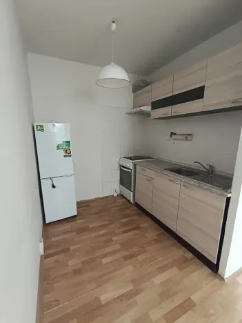 Prodej bytu 1+kk, Duchcov, V Domkách, 34 m2