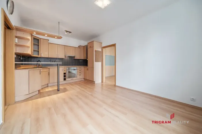 Prodej bytu 2+kk, Hradec Králové - Pražské Předměstí, Horova, 48 m2