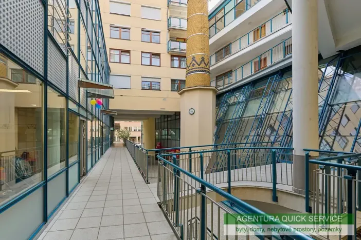 Prodej bytu 2+kk, Praha - Vinohrady, Chrudimská, 113 m2