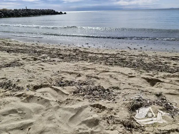Prodej bytu 2+kk, Sveti Vlas, Bulharsko, 60 m2