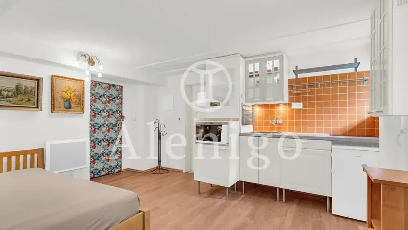 Prodej bytu 1+kk, Praha - Motol, Kudrnova, 25 m2