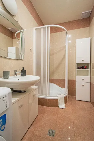 Prodej bytu 3+kk, Praha - Vinohrady, Balbínova, 72 m2