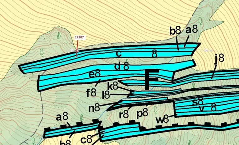 Dražba lesa, Strání, 1163 m2