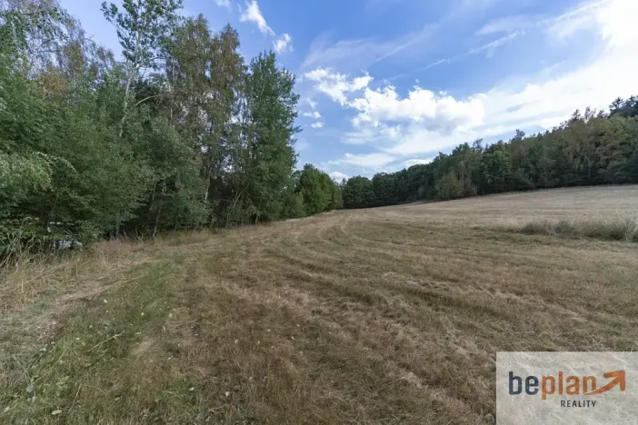 Prodej pozemku pro bydlení, Merklín, 1032 m2