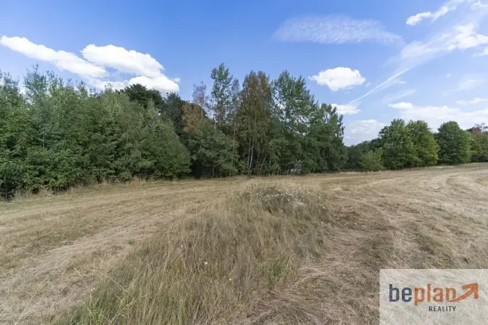 Prodej pozemku pro bydlení, Merklín, 1032 m2