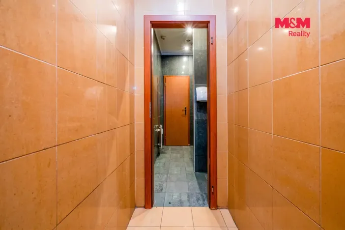 Prodej obchodního prostoru, Praha, Trnkovo náměstí, 324 m2