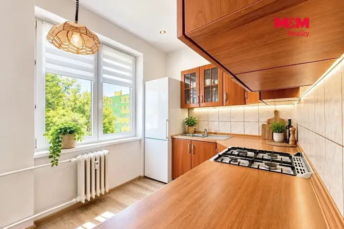 Prodej bytu 3+1, Krnov - Pod Bezručovým vrchem, Maxima Gorkého, 67 m2