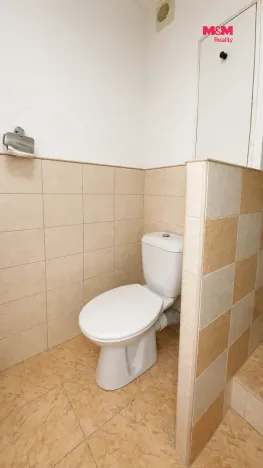 Prodej bytu 2+1, Bílina - Pražské Předměstí, Aléská, 48 m2