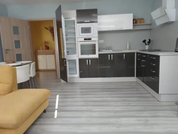 Prodej bytu 2+kk, Teplice, Bohosudovská, 47 m2